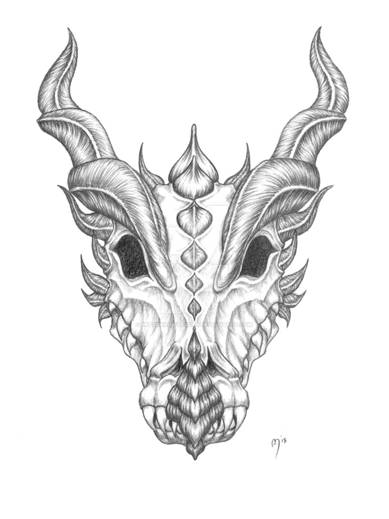 774x1032 Dragon Skull Td - Dragon Skull Drawing