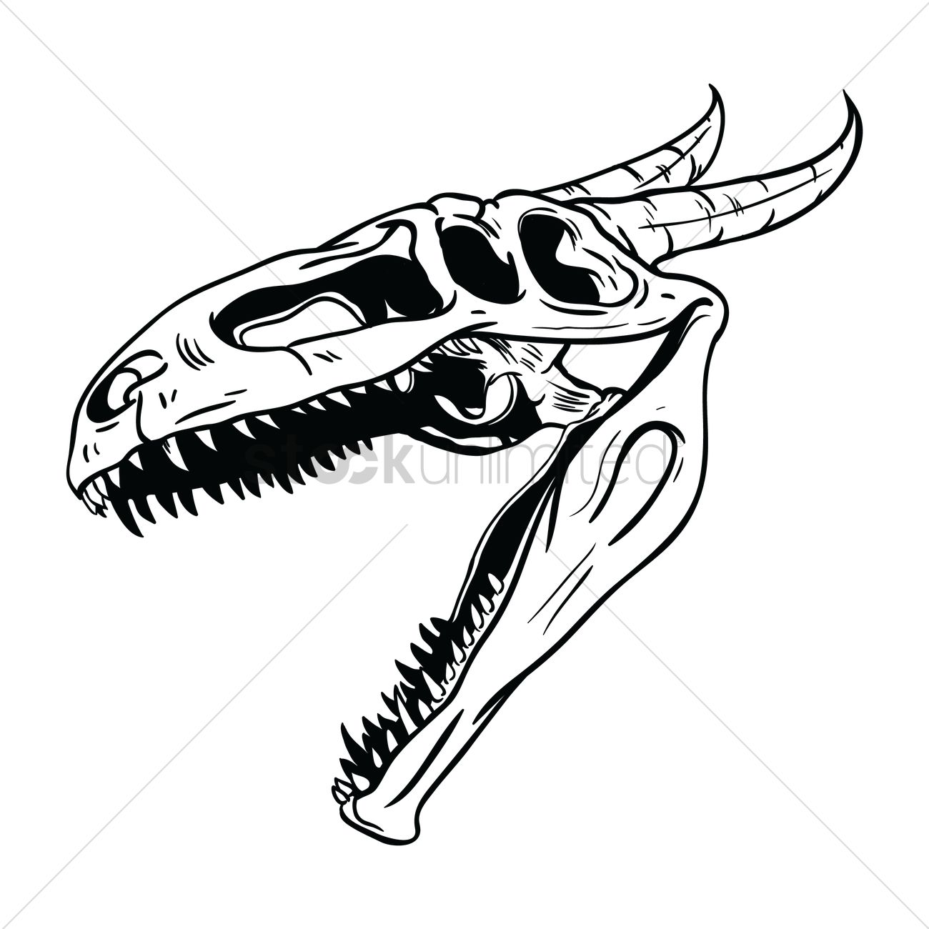 1300x1300 Free Dragon Skull Vector Image - Dragon Skull Drawing