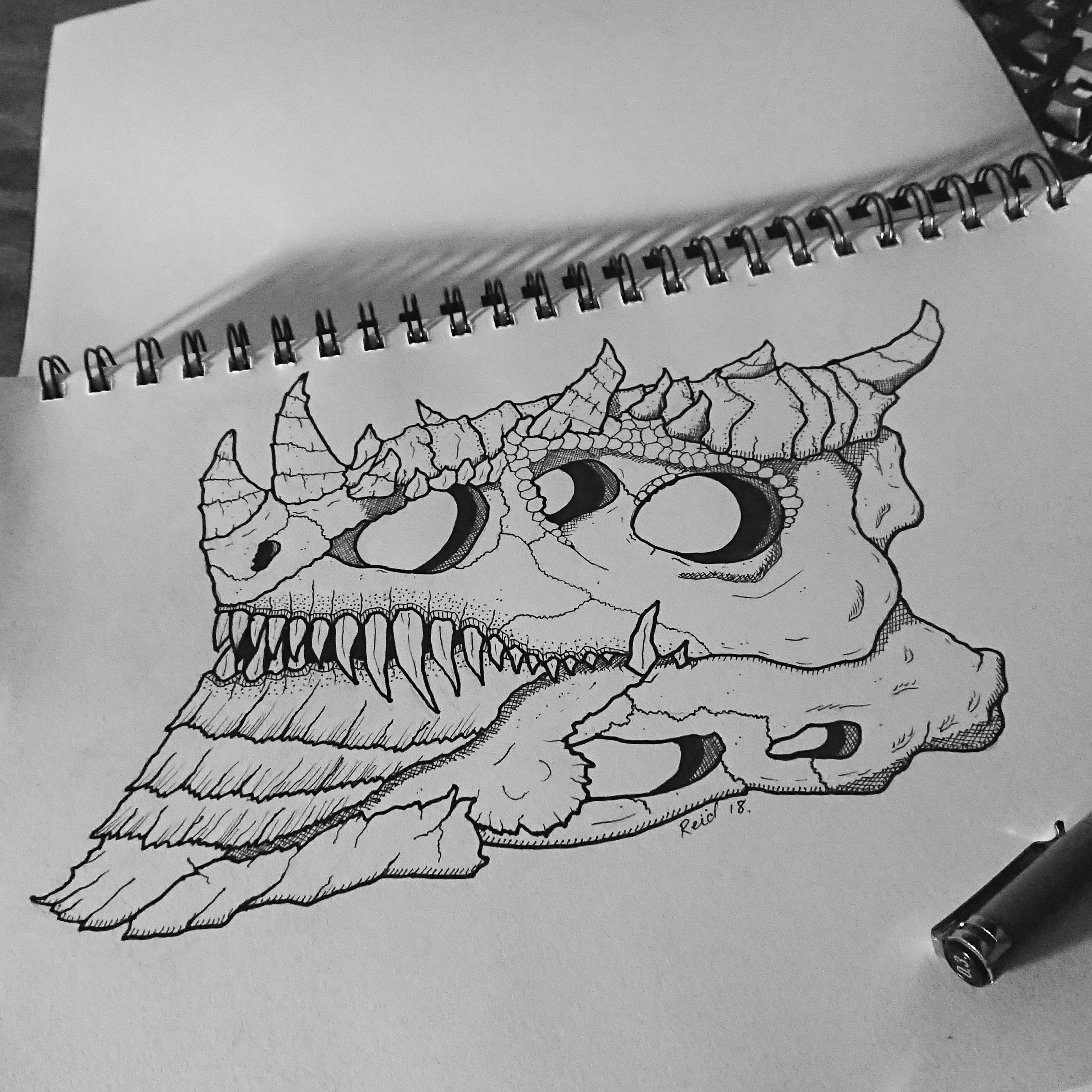 2592x2592 Dragon Skull - Dragon Skull Drawing
