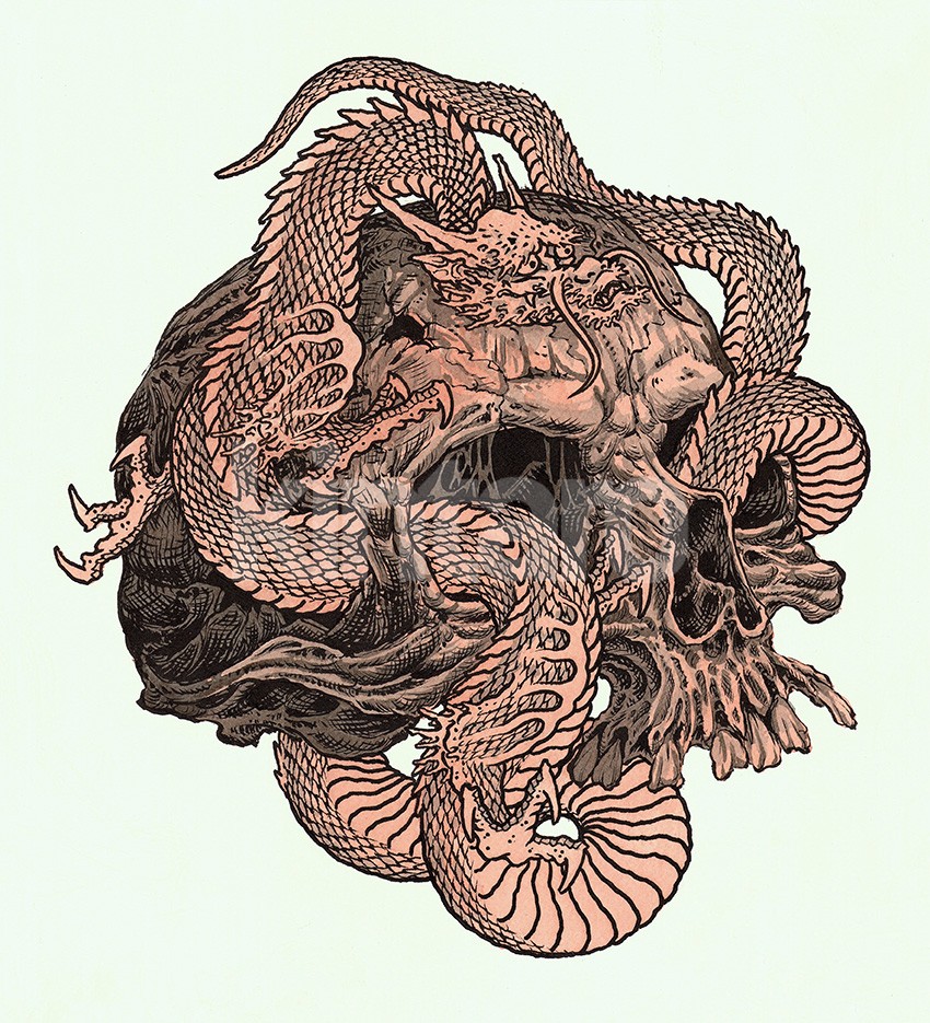850x935 Marius Meyer Dragon Skull Fine Art Print - Dragon Skull Drawing