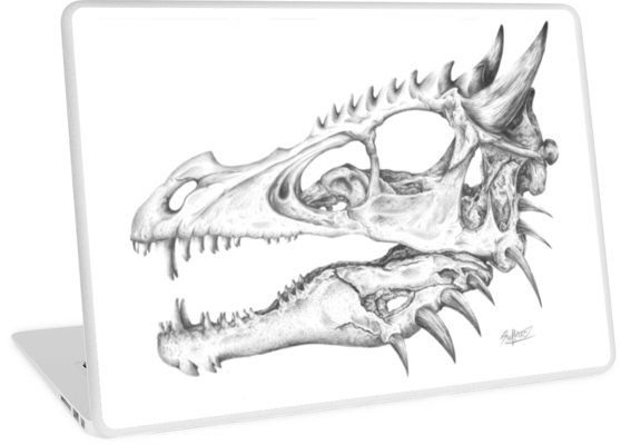 558x400 Realistic Dragon Skull Laptop Skins - Dragon Skull Drawing