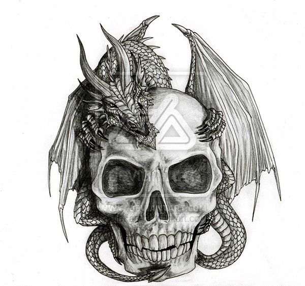 600x562 Skull Dragon Skulls Tattoos, Skull Tattoo Design, Tattoo Designs - Dragon Skull Drawing