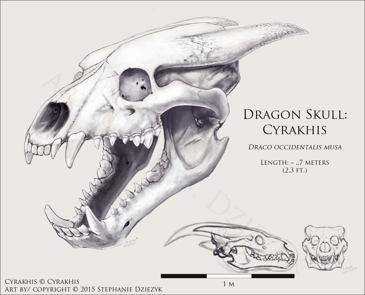 1280x1035 Dragon Skull - Dragon Skull Drawing