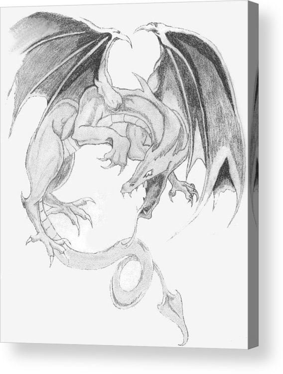568x750 Dragon's Tail Acrylic Print - Dragon Tail Drawing