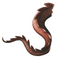 236x240 Best Dragon Tail Images Draw, Fantasy Creatures, Drawings - Dragon Tail Drawing
