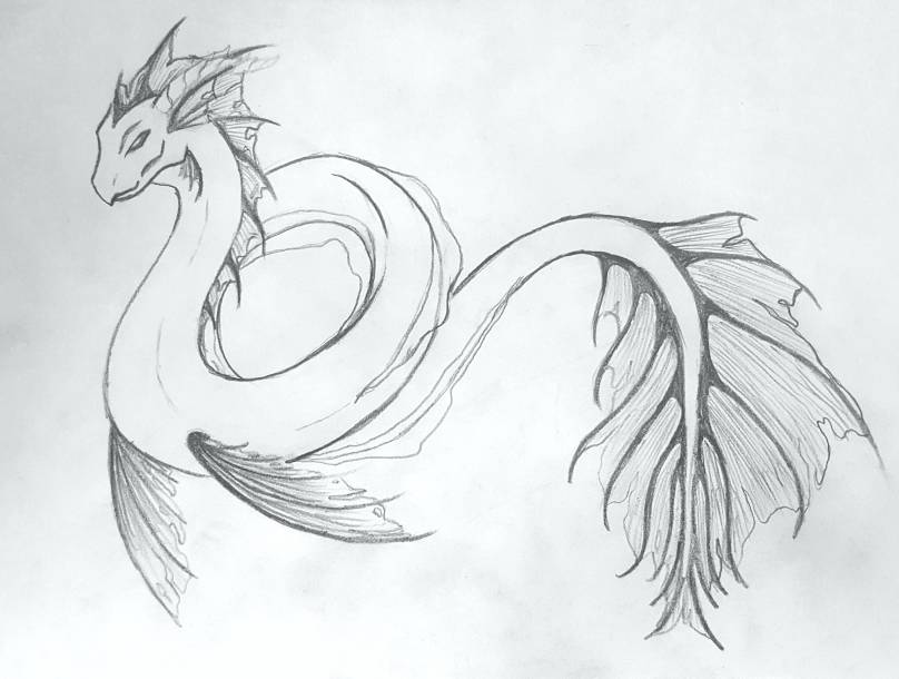 Dragon Tail Drawing at Explore collection of