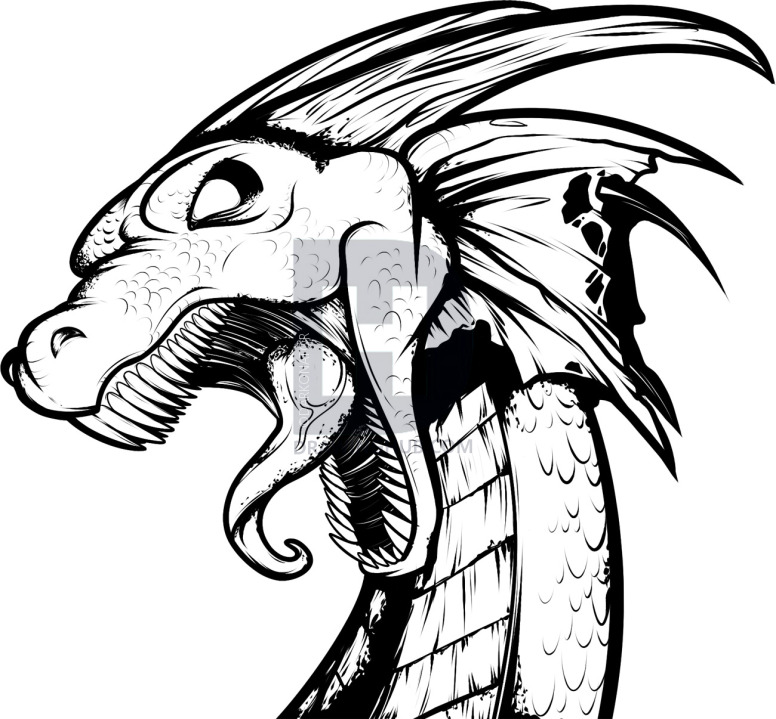 776x719 How To Draw A Dragon Tattoo, Dragon Tattoo, Step - Dragon Tattoo Drawing