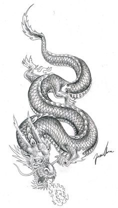 236x415 Chinese Dragon Practice - Dragon Tattoo Drawing