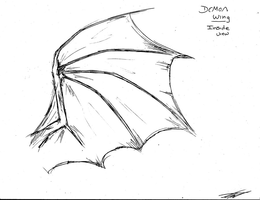 Dragon Wings Sketch at PaintingValley.com | Explore collection of ...