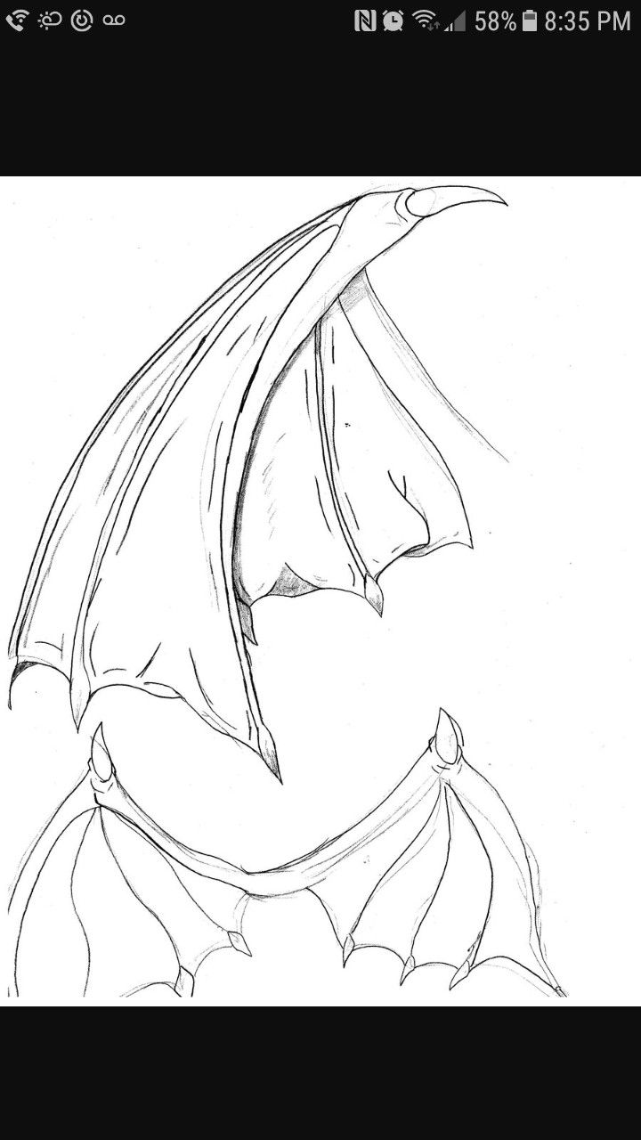 720x1280 Dragon Wings For Humans, Folded And Not, Drawing Reference - Dragon Wings Drawing
