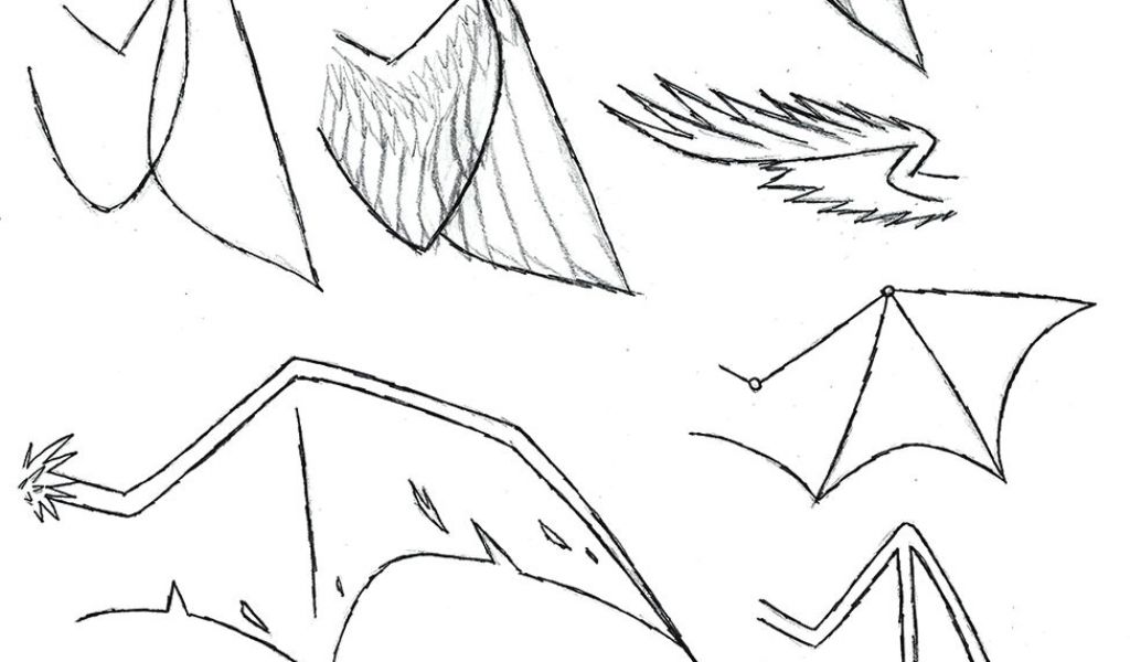 1024x600 Drawing Of Dragons Step - Dragon Wings Drawing
