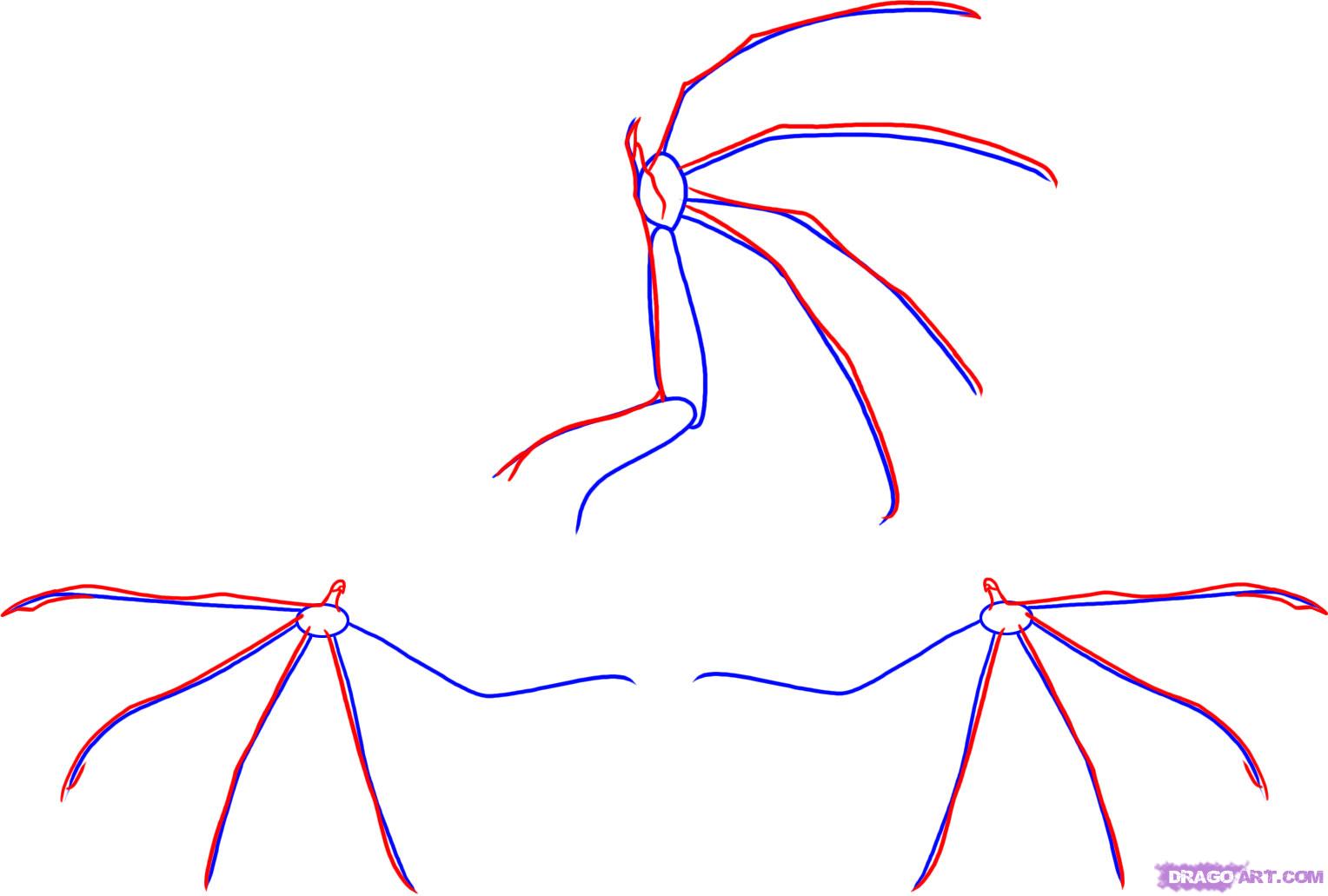 1528x1031 How To Draw Dragon Wings, Step - Dragon Wings Drawing