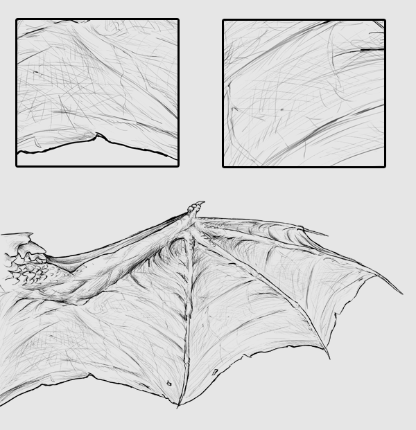 600x621 Taking Flight A Beginner's Guide Into Drawing Wings - Dragon Wings Drawing