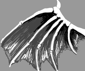 300x250 Dragon Wings Drawing - Dragon Wings Drawing