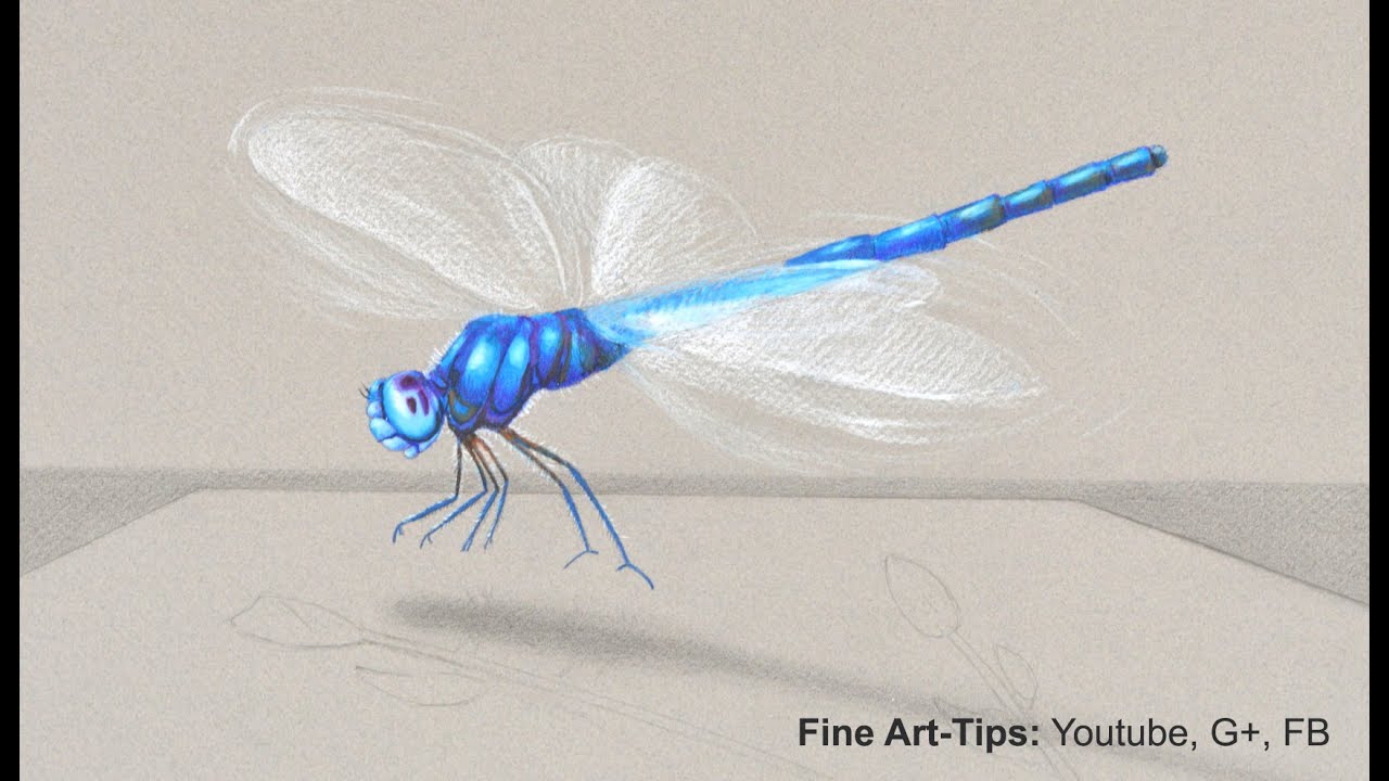 1280x720 How To Draw A Dragon Fly - Dragonfly Drawing