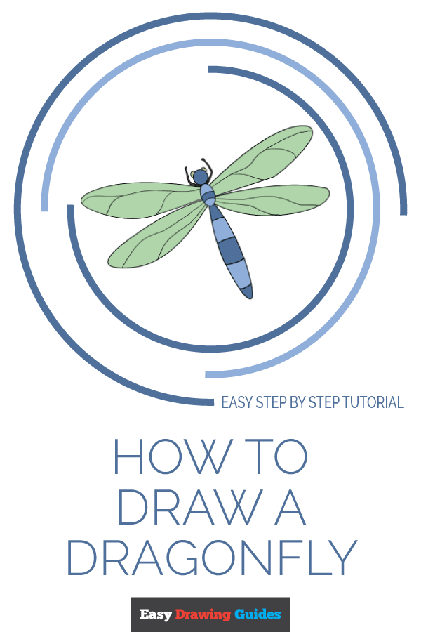 600x900 how to draw a dragonfly - Dragonfly Drawing