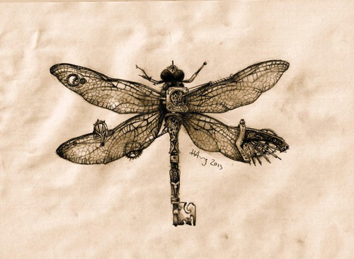500x366 Image About Drawing In Steampunk - Dragonfly Drawing