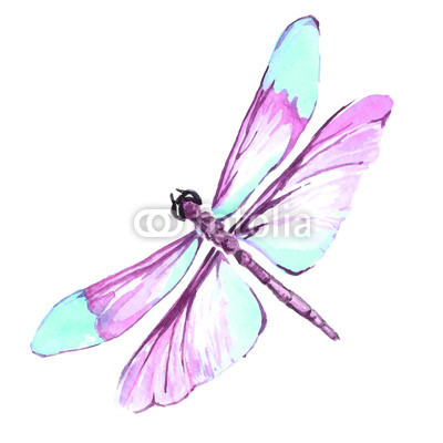 400x400 watercolor color dragonfly drawing buy photos ap images - Dragonfly Drawing