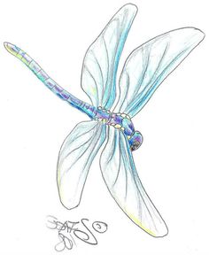 236x288 dragonfly pencil drawing art - Dragonfly Drawing