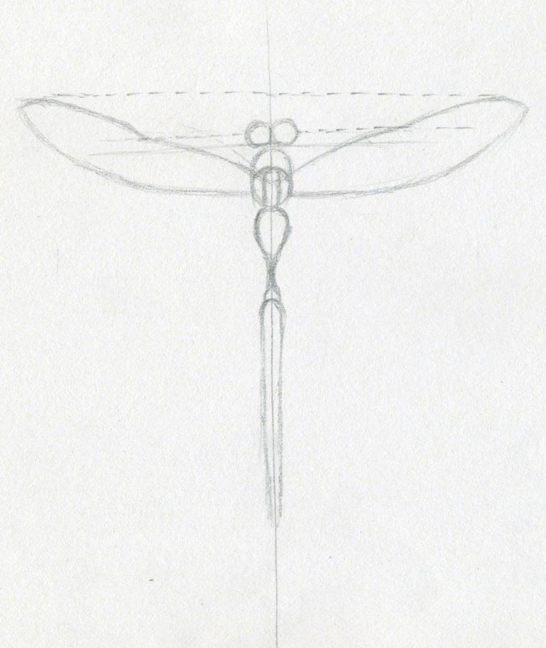 769x913 dragonfly drawings - Dragonfly Images Drawings