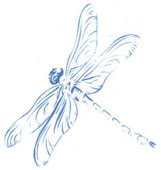 236x248 Dragonfly Pencil Drawing Art - Dragonfly Images Drawings