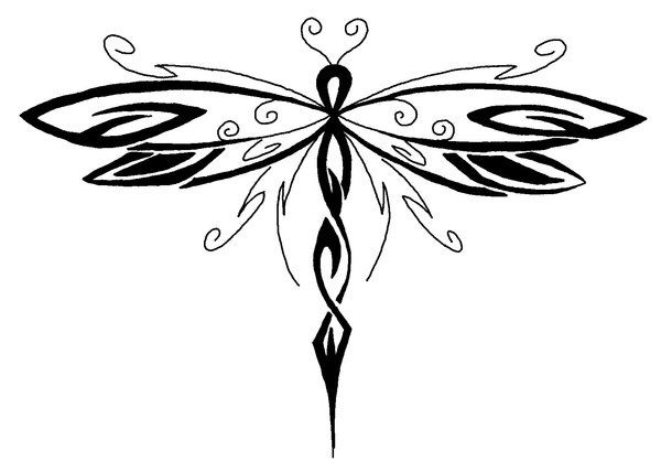 600x428 dragonfly drawings - Dragonfly Images Drawings