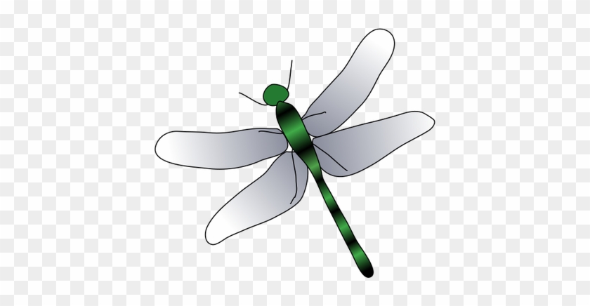 840x436 dragonfly drawings - Dragonfly Images Drawings