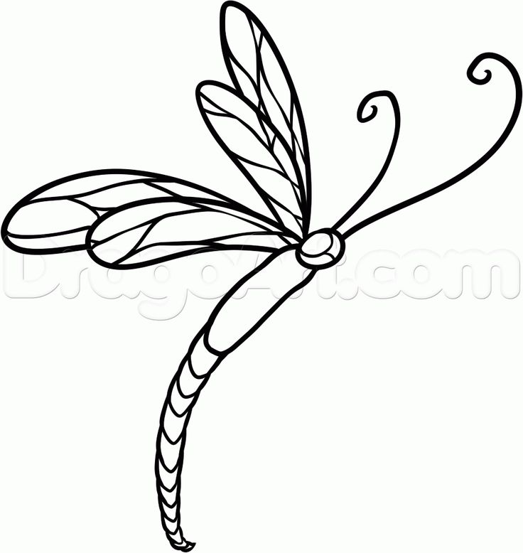736x778 Drawn Dragonfly Bug - Dragonfly Line Drawing