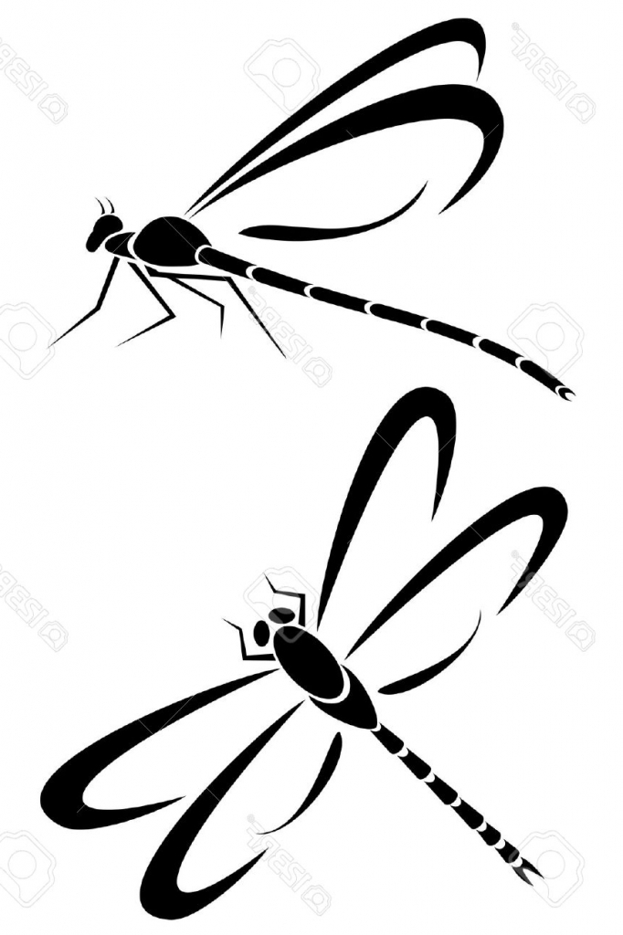 Dragonfly Line Drawing at Explore collection of