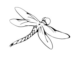 259x193 Dragonfly Clipart Line Art Free Clip Art Stock Illustrations - Dragonfly Line Drawing