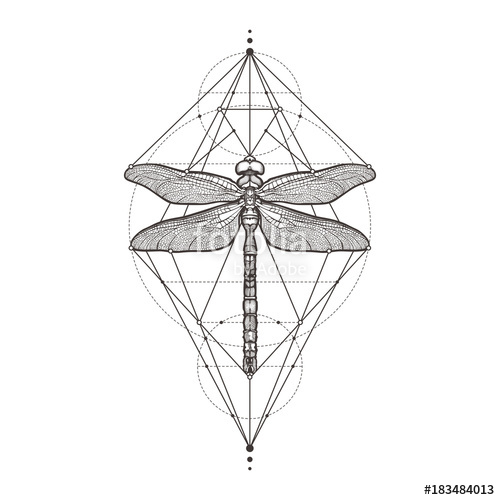 500x500 Black Dragonfly Aeschna Viridls, Isolated On White Background - Dragonfly Line Drawing