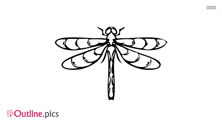 Dragonfly Outline Drawing At Paintingvalley Com Explore