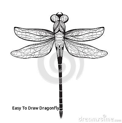 400x403 easy to draw dragonfly dragonfly pattern use the printable outline - Dragonfly Outline Drawing