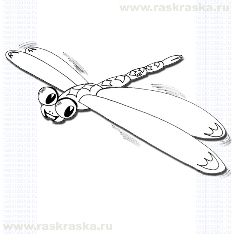 800x800 Raskraska Coloring Book Free Dragonfly Outline Drawing For Kids - Dragonfly Outline Drawing