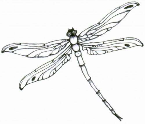 500x430 dragonfly outline nice outline dragonfly tattoo design animations - Dragonfly Outline Drawing
