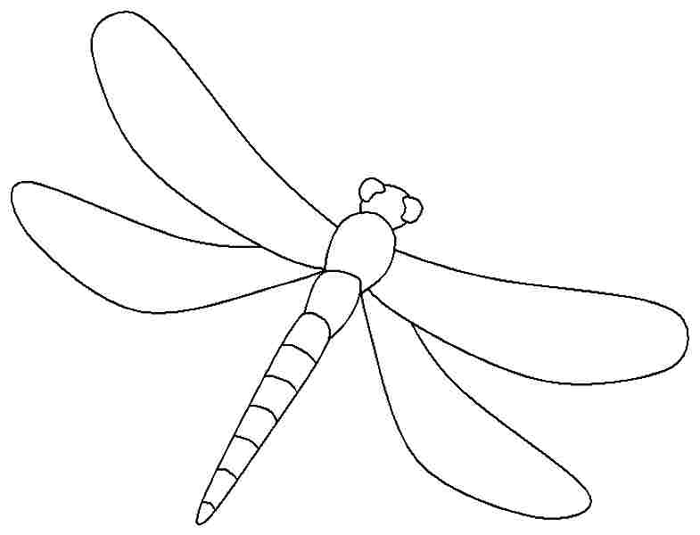 Simple Dragonfly Outline Tattoo - wide 7