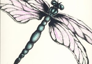 300x210 Dragonfly Pencil Sketch Goku Drawings In Pencil Drawing Goku Black - Dragonfly Pencil Drawing