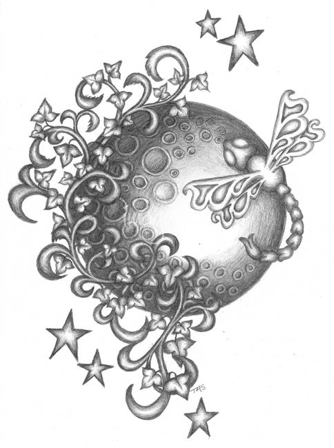 484x650 Drawing Dragonfly Colored Pencil Drawings And Illustrations - Dragonfly Pencil Drawing