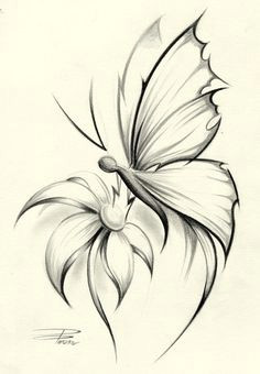 236x340 Drawings Of Roses With Butterflies Butterfly Pencil Drawing If It - Dragonfly Pencil Drawing