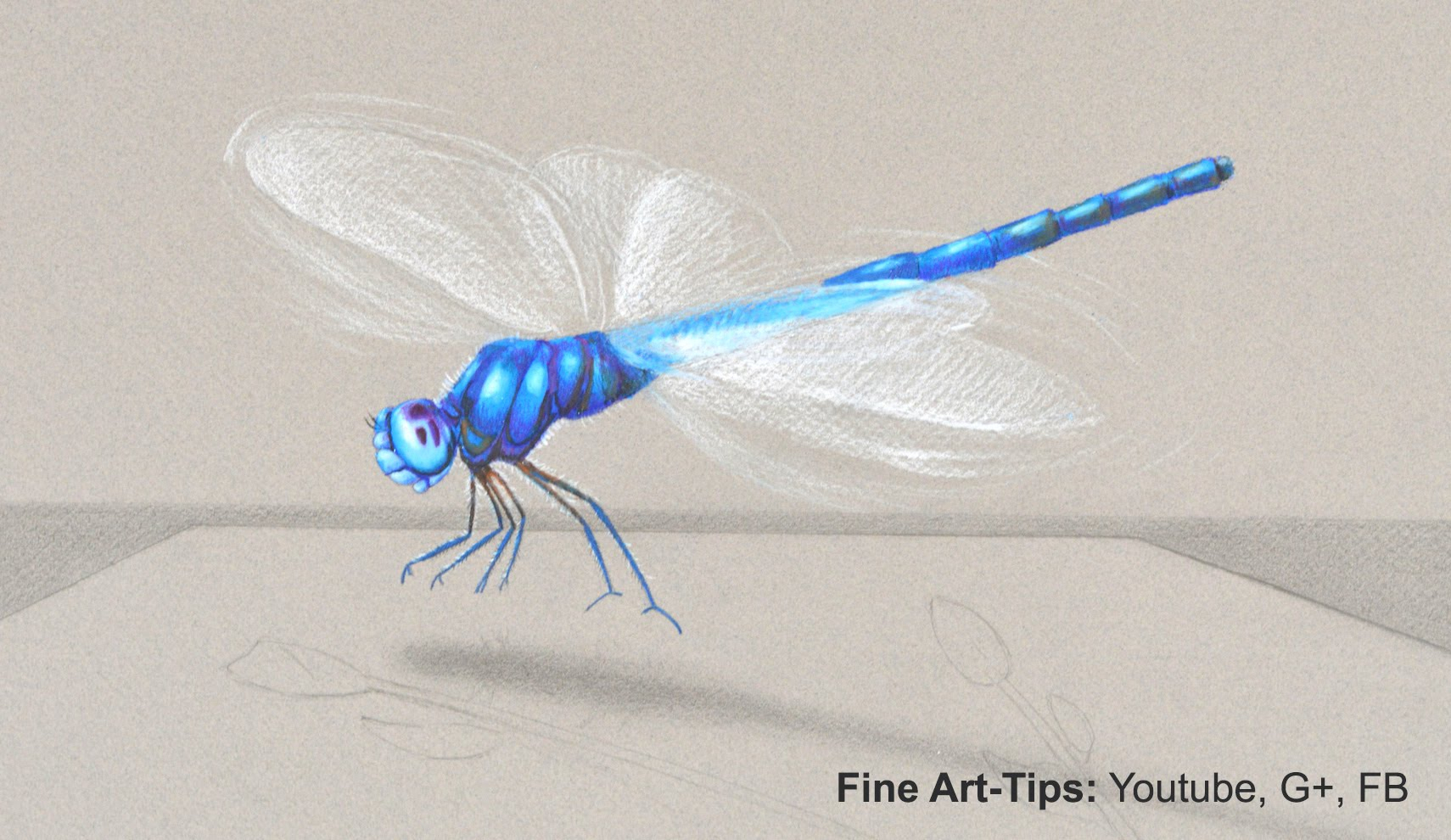 1710x990 Pencil Drawings Of Dragonflies How To Draw A Dragon Fly - Dragonfly Pencil Drawing