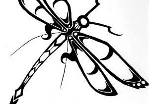300x210 abstract dragonfly drawing dragonfly pencil drawing - Dragonfly Pencil Drawing