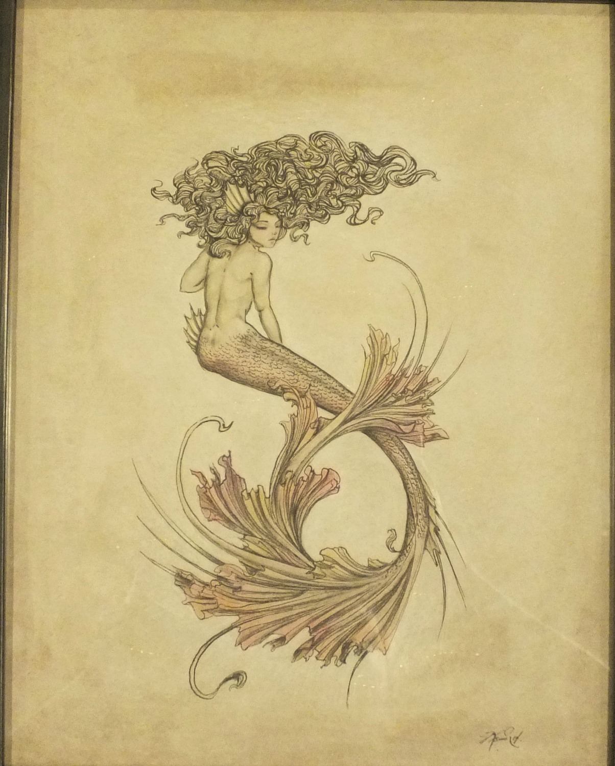 1204x1500 Cancion Original Ink Pencil Drawing Artwork - Dragonfly Pencil Drawing