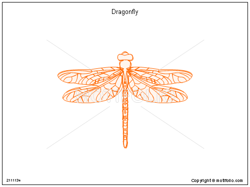 500x375 Dragonfly Illustrations - Dragonfly Scientific Drawing