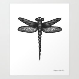 264x264 Dragonfly Wings Art Prints - Dragonfly Wings Drawing