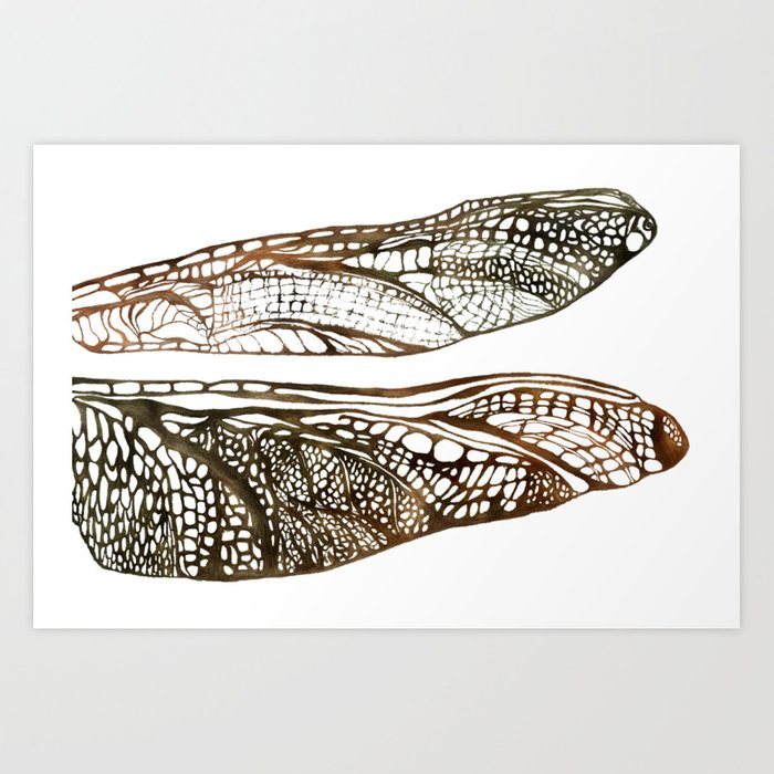 700x700 Dragonfly Wings Drawing In Brown Green Art Print - Dragonfly Wings Drawing