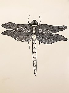 225x300 Dragonfly Wings Drawings Fine Art America - Dragonfly Wings Drawing