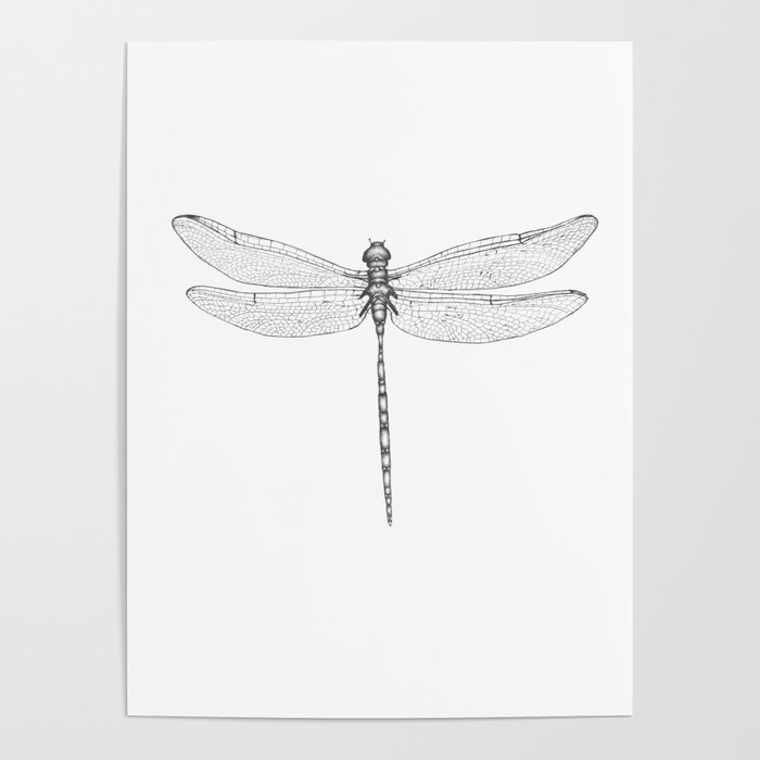 700x700 Dragonfly Wings Poster - Dragonfly Wings Drawing