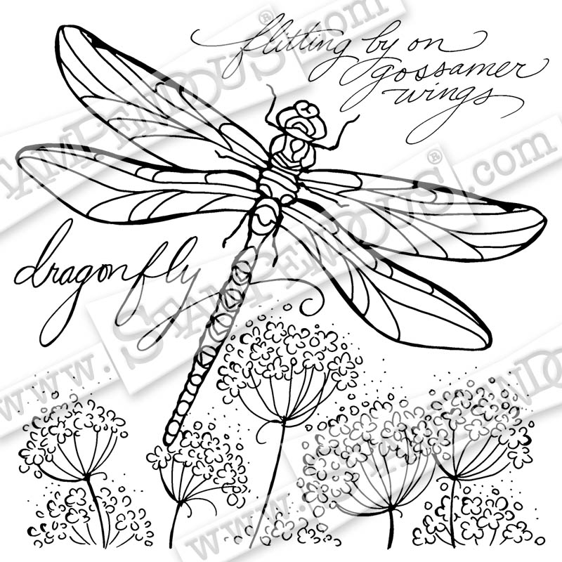 800x800 Dragonfly Wings Rubber Stamp - Dragonfly Wings Drawing