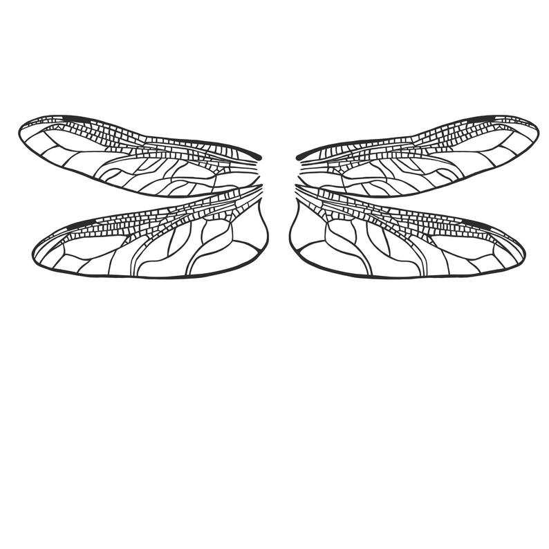 794x794 Dragonfly Wings Vinyl Decal Sticker Etsy - Dragonfly Wings Drawing