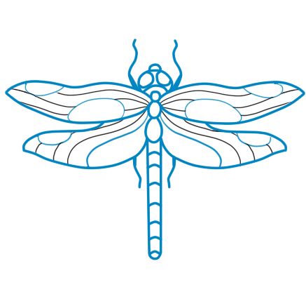 437x426 How To Draw A Dragonfly Steps - Dragonfly Wings Drawing